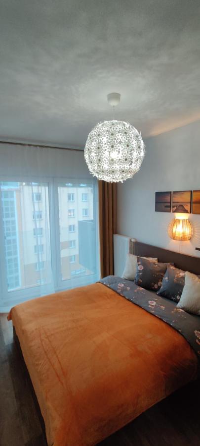 Zebra Apartment Wroclaw Bagian luar foto